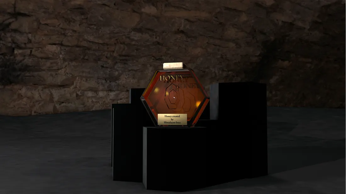 Image 6 from project HONEY