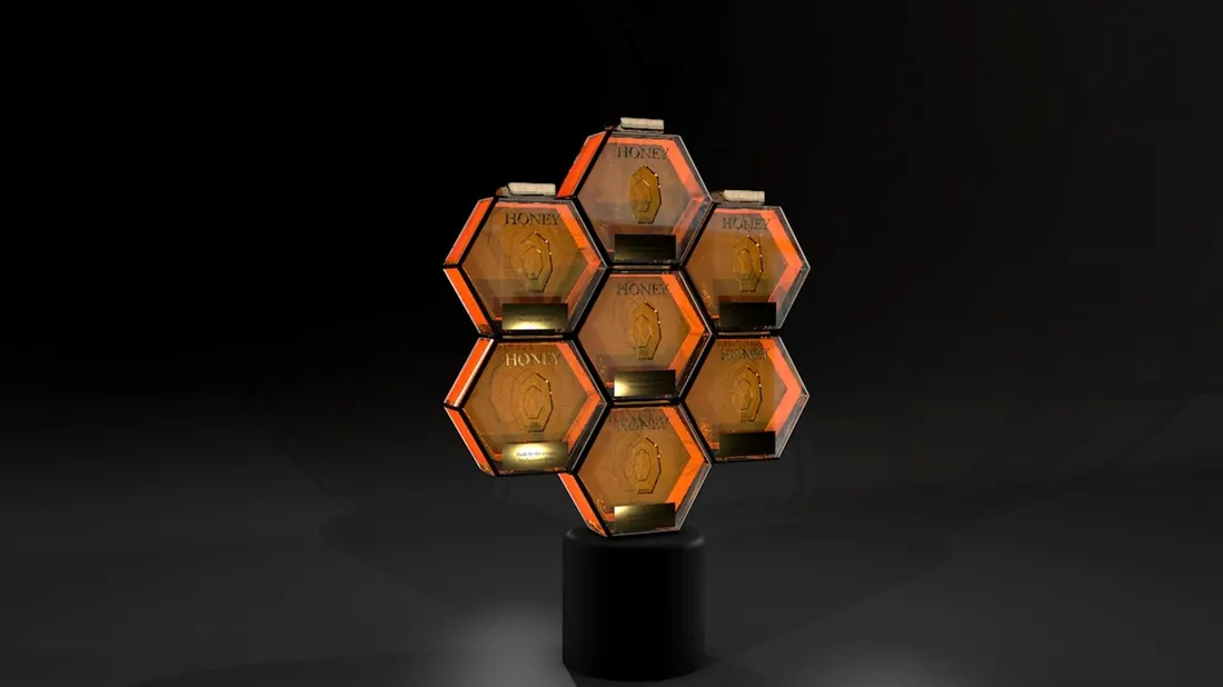Image 5 from project HONEY