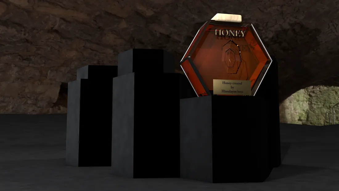 Image 4 from project HONEY